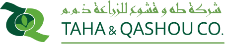 Taha & Qashou